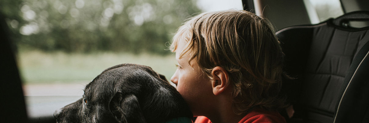 Boy And Dog Looking Out Of A Car Window