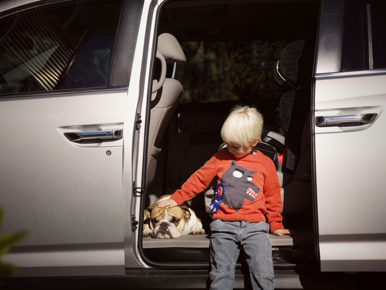 Boy Stroking English Bulldog While Leaning On Car